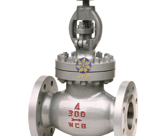 Van Cầu DN300 Kết Nối Bích